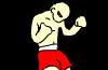 Muay thai